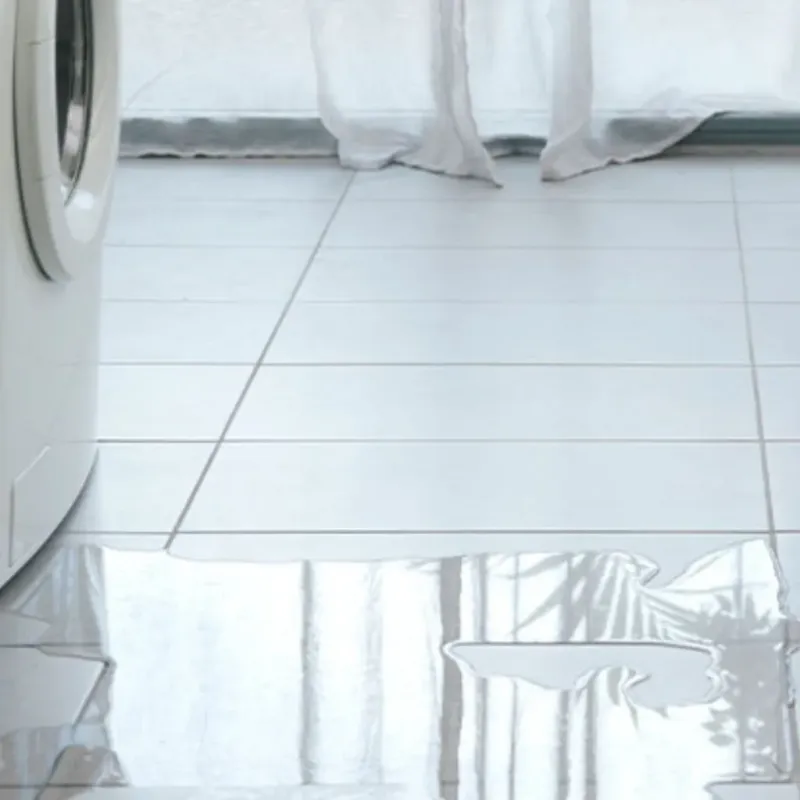 Appliance Leak Cleanup in Michigan City, IN