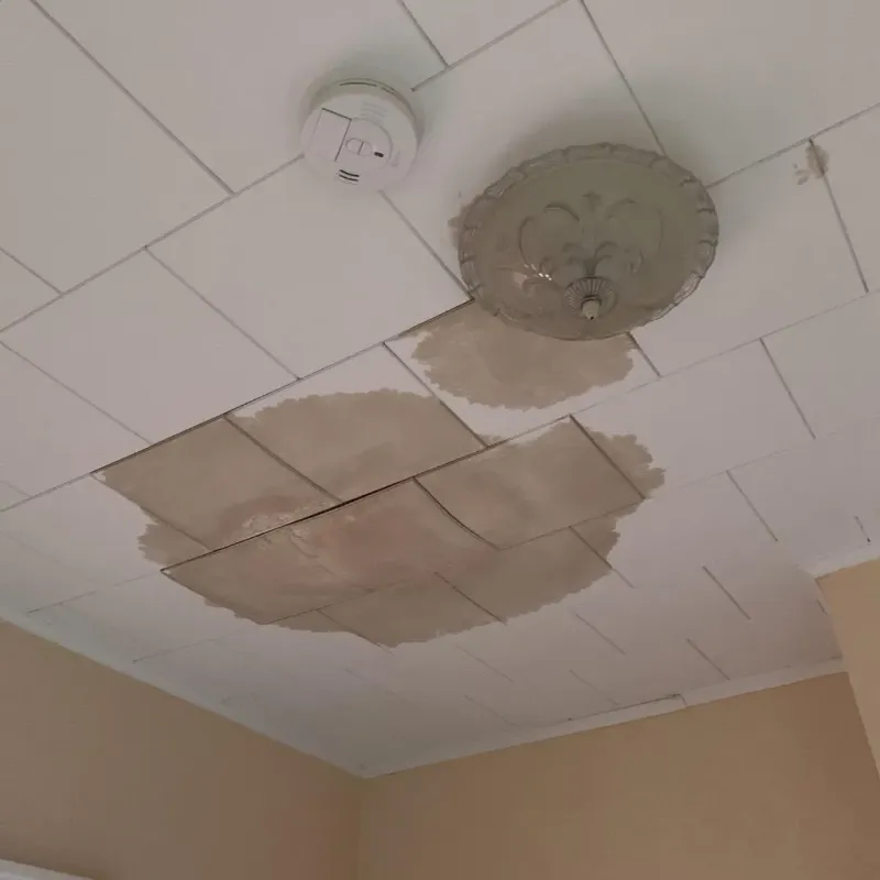 Ceiling Water Damage Repair in Michigan City, IN