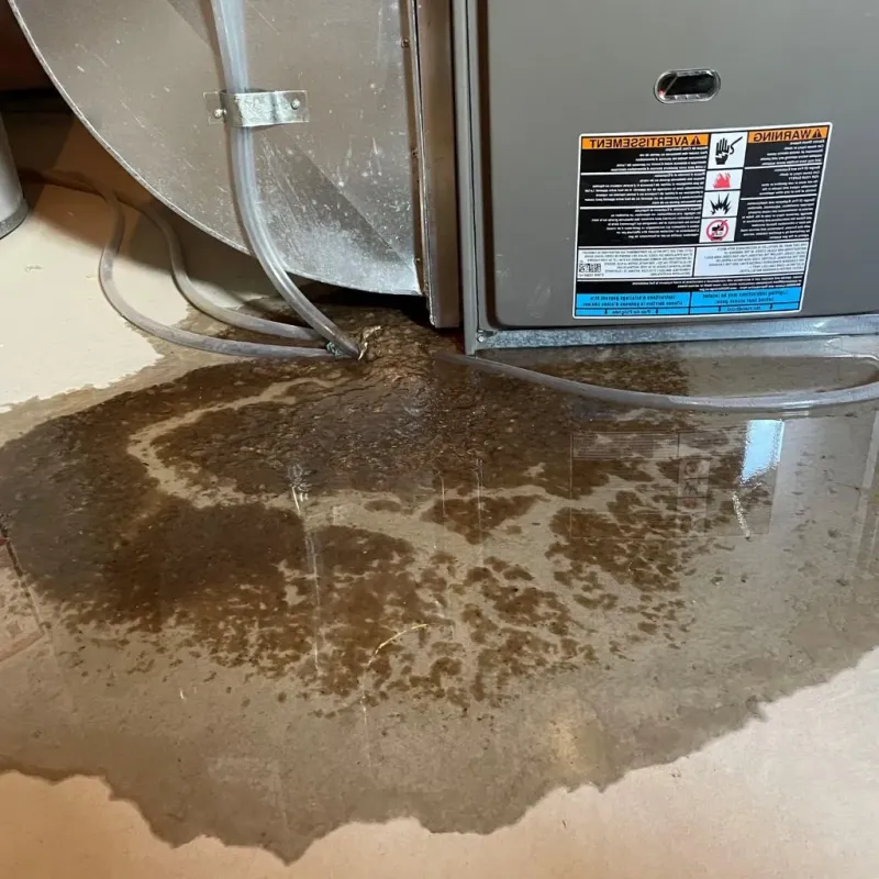 Pipe Burst and Leak Restoration in Michigan City, IN