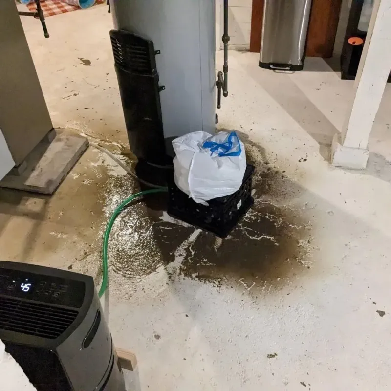 Sewage Backup Cleanup Service in Michigan City, IN